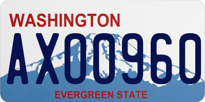 WA license plate AXO0960