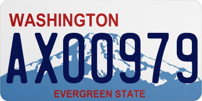 WA license plate AXO0979