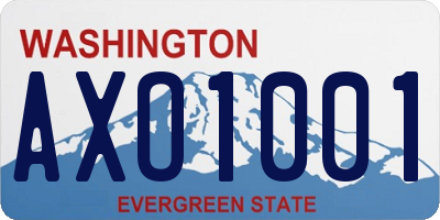 WA license plate AXO1001