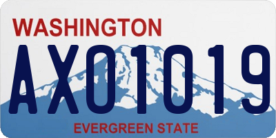 WA license plate AXO1019