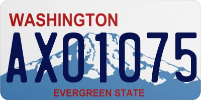 WA license plate AXO1075
