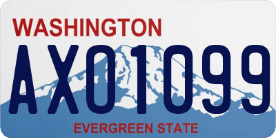 WA license plate AXO1099