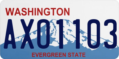 WA license plate AXO1103