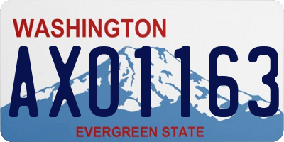 WA license plate AXO1163