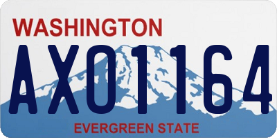 WA license plate AXO1164