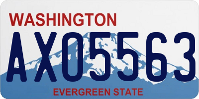 WA license plate AXO5563