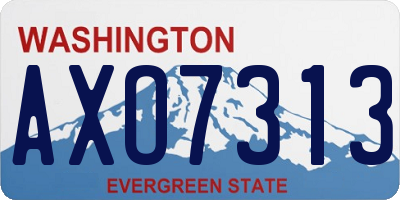 WA license plate AXO7313