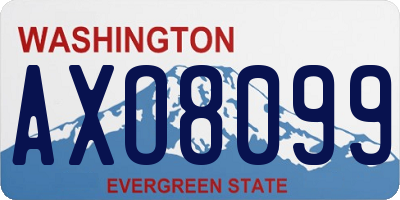 WA license plate AXO8099