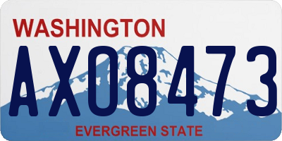 WA license plate AXO8473