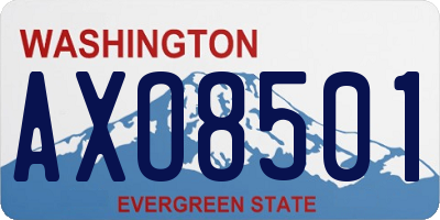WA license plate AXO8501