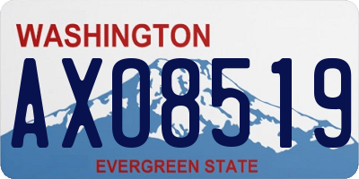 WA license plate AXO8519