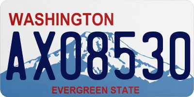 WA license plate AXO8530