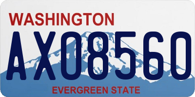 WA license plate AXO8560