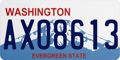WA license plate AXO8613