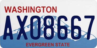 WA license plate AXO8667