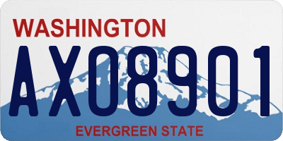 WA license plate AXO8901