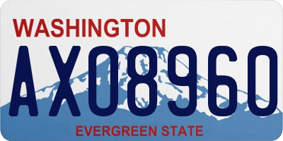 WA license plate AXO8960