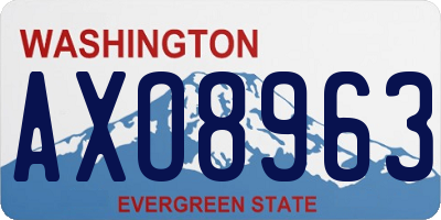 WA license plate AXO8963