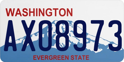 WA license plate AXO8973