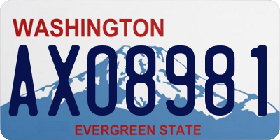 WA license plate AXO8981