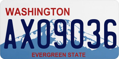 WA license plate AXO9036