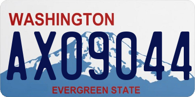 WA license plate AXO9044