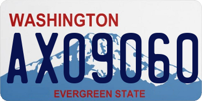 WA license plate AXO9060