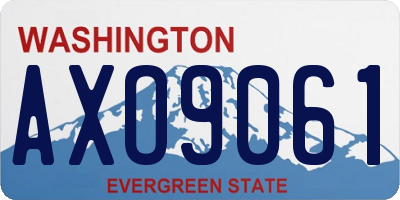 WA license plate AXO9061