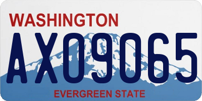 WA license plate AXO9065