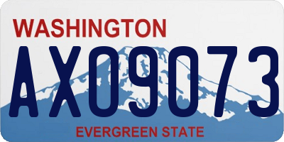 WA license plate AXO9073