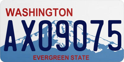 WA license plate AXO9075