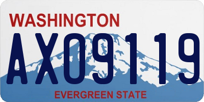 WA license plate AXO9119