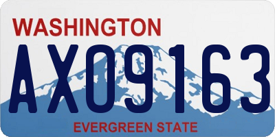 WA license plate AXO9163