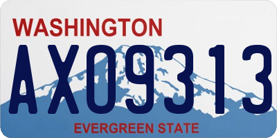 WA license plate AXO9313