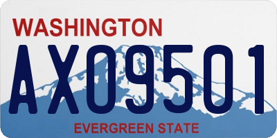 WA license plate AXO9501