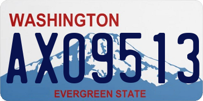 WA license plate AXO9513