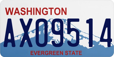 WA license plate AXO9514