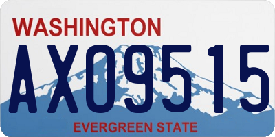 WA license plate AXO9515