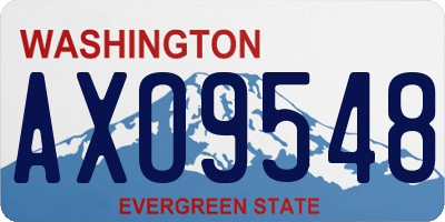 WA license plate AXO9548
