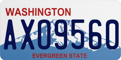 WA license plate AXO9560