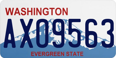 WA license plate AXO9563