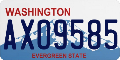 WA license plate AXO9585