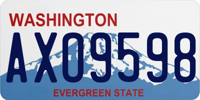 WA license plate AXO9598