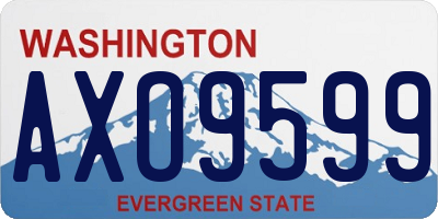 WA license plate AXO9599
