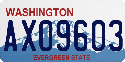 WA license plate AXO9603