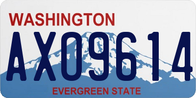 WA license plate AXO9614