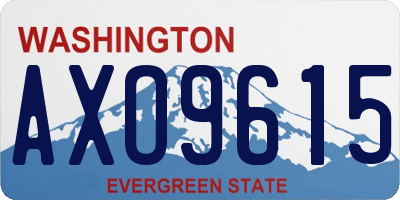 WA license plate AXO9615