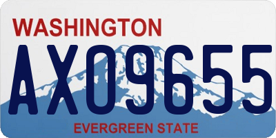 WA license plate AXO9655