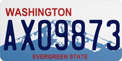 WA license plate AXO9873
