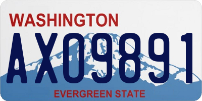 WA license plate AXO9891